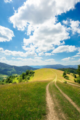 rural landscape on a summer day. dirt road in the grassy fields and rolling hills. fluffy clouds on a blue sky beautiful scenery of mountainous carpathian countryside