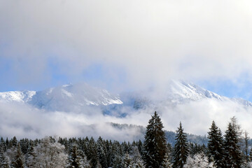 Foggy winter morning