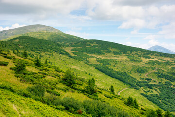 path through grassy alpine mountain meadow. beautiful landscape of carpathians. clouds on the sky