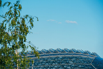 Predatory bristling dome roof in Zaryadye park. Landscape panorama with green birches in the foreground