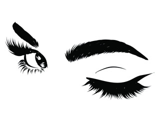 Hand-drawn woman's luxurious eye with perfectly shaped eyebrows and full lashes. Idea for business visit card, typography vector.Perfect salon look