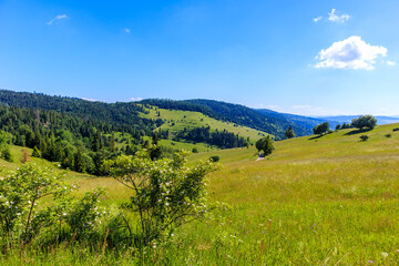 Fototapeta na wymiar Green meadows along road from Lapszanka Pass to Osturnia in Tatra Mountains on beautiful summer sunny day, Slovakia
