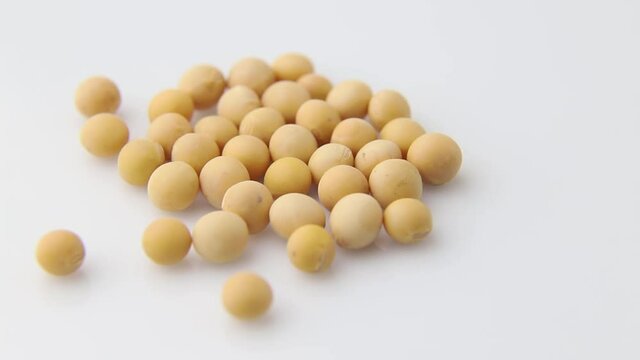 Rotating of soy seeds on white background. Side view, close up.