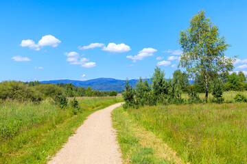 Cycling trail In Czerwony Bor Nature Reserve near Nowy Targ town on sunny summer day, Tatra Mountains, Poland