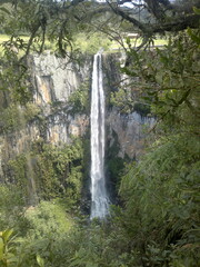 waterfall in the forest