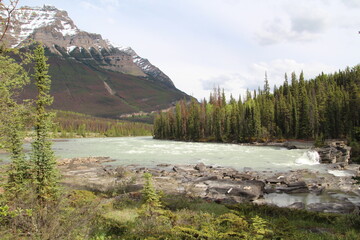Mighty Athabasca, Jasper National Park, Alberta