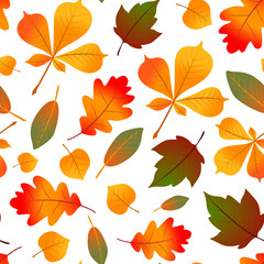 Autumn leaves pattern. Natural seamless pattern with autumn fallen leaves.