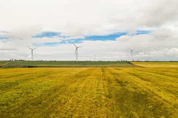 Wind turbines in field on cloudy day