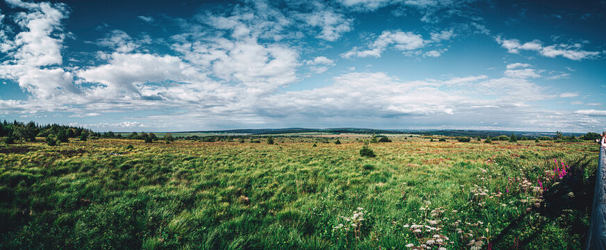 Botrange, panorama fagnard