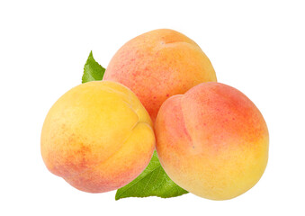 apricots with leaves isolated on white background