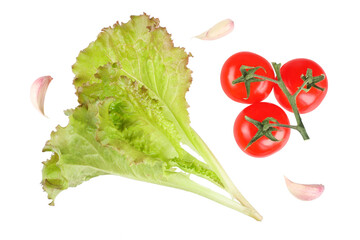 tomatoes, lettuce view from above isolated on white background