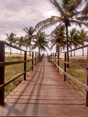 Obraz premium path to the beach