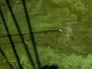 Aerial drone view. Two fishing boats in the shadow of the North Bridge in Kiev. Green blooming...