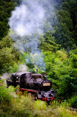 Naklejka premium Old steam engine black and red in a green forest front view