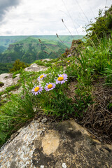 Panoramic view of Caucasus mountains