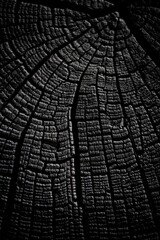 black wooden texture background