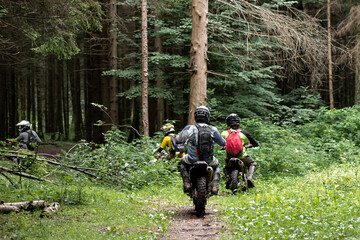 group of motorcyclists in helmets rides on a forest dirt road © Gioia