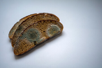 three pieces of rye bread covered with white and black mold