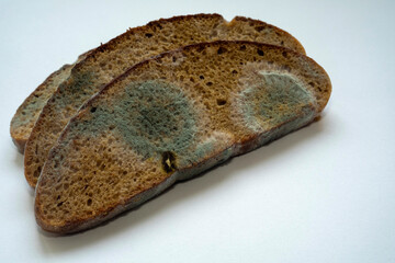 slices of rye bread covered with mold