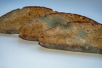 slices of sliced bread with mold and fungi