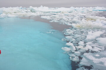 A trip around the Antarctic Peninsula, December 2019