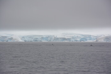 A trip around the Antarctic Peninsula, December 2019