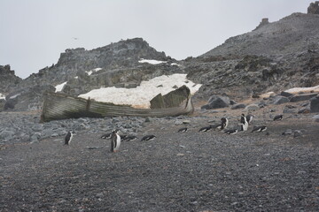 A trip around the Antarctic Peninsula, December 2019