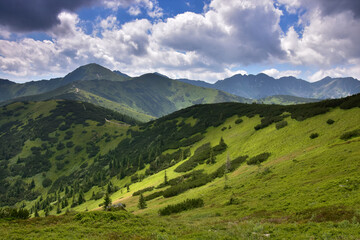 Fototapeta na wymiar Dolina Chochołowska - widok z góry Grześ na Tatry Rohackie