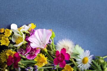 Wild flowers bouquet on blue background.