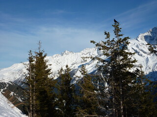 Snow covered mountains and trees in Chamonix area
