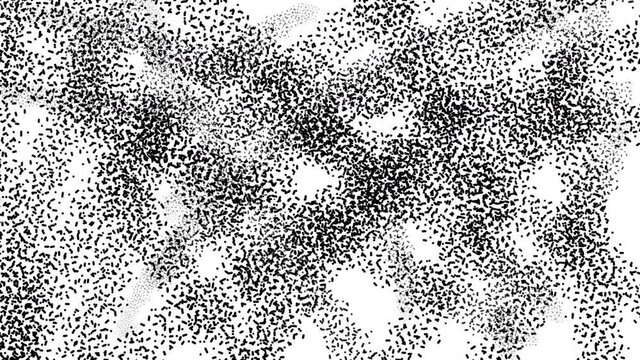 Digital hand drawing animation of scribble. Brush stroke black and white transition. 4k