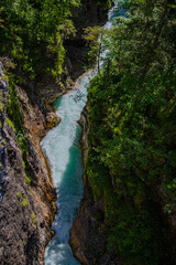 Forest, rocky shores and the beautiful blue stream water on a high altitude