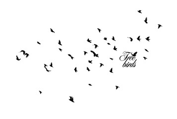 A flock of flying birds. Vector illustration