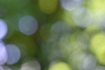 Helle Lichtpunkte von einem Bokeh vor grünem Hintergrund aus Bäumen in der Natur mit abstraktem...