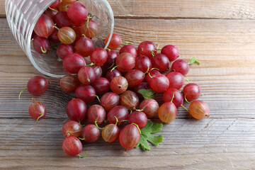 Red gooseberries on the table © Sasajo