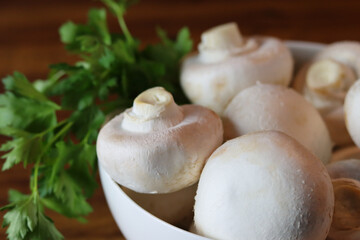 Champignons in einer Schüssel