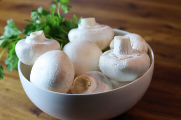 Champignons in einer Schüssel