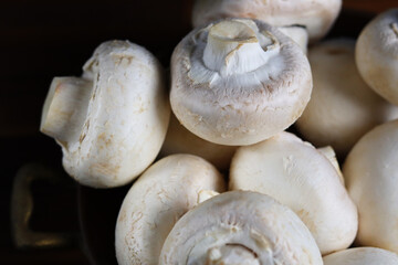 Champignons
