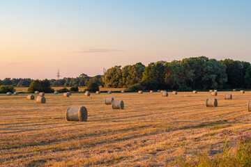 Beautiful summer scene of hay rolls on a mowed field during sunset under a clear sky with copy space