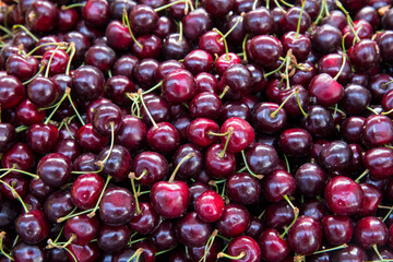 Close up of pile of ripe cherries with stalks and leaves. Large collection of fresh red cherries. Ripe cherries background.