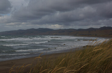 stormy beach scene new zealand