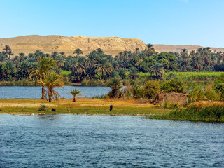 The quiet waters of the river Nile bordered by palm trees and greenery near Luxor, Egypt in summer