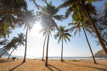 Idyllic Beach near Goakarna town  - palms and Indian Ocean