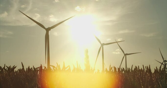 The production of ecological energy with the help of wind turbines standing in a wheat field at sunset. Wind Power Turbine Generating Clean Renewable Energy for Sustainable Development.