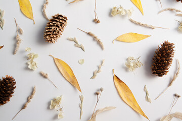 Layout of yellow leaves, cones and dry plants. Pattern on an autumn theme on a white background