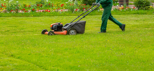 Banner. A human lawn mower mows the grass with a lawn mower in the backyard. Agricultural machinery: lawn mower for cutting grass. The care of the garden. Gardening background. - obrazy, fototapety, plakaty