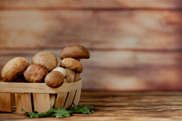 Mushroom Boletus over Wooden Background. Autumn Cep Mushrooms. Ceps Boletus edulis over Wooden Background, close up on wood rustic table. Cooking delicious organic mushroom. Gourmet food