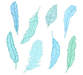 Feather. Design of colored feathers. Hand drawn elements on white background