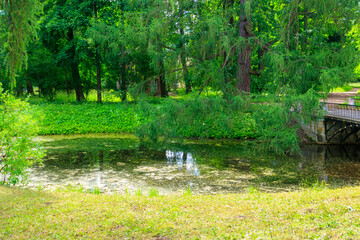 Bridge across a small river in Catherine park in Pushkin (Tsarskoye Selo), Russia