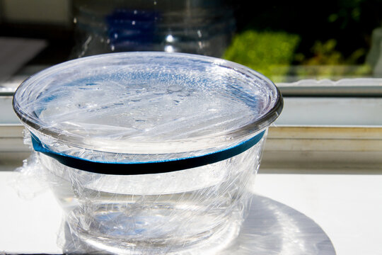 Simple experiment discovering the water cycle; Precipitation, evaporation and condensation in a covered bowl